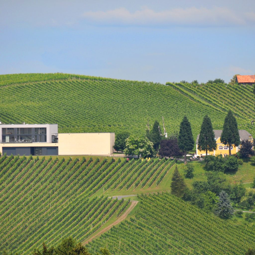 Brolli Arkadenhof Mitten In Den Weinbergen