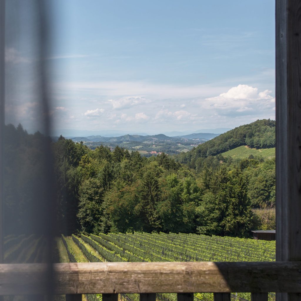 Casafirmenich zimmer 03