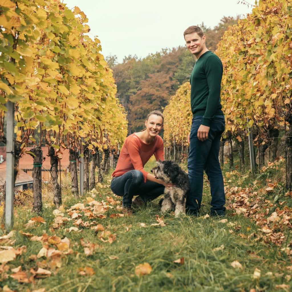 Gross Herbst 18 082 C Lupi Spuma