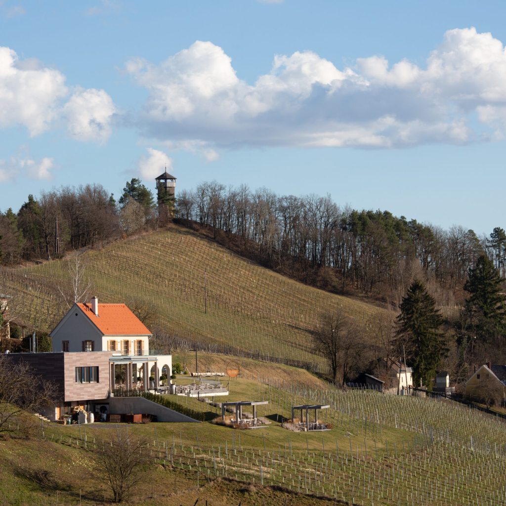 Kreuzkogel 02 7n7a9314