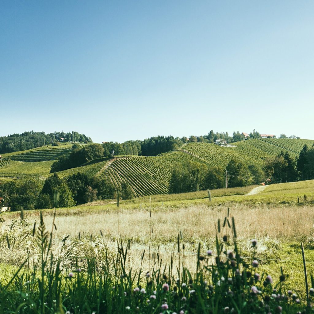 Nussberg Leiten
