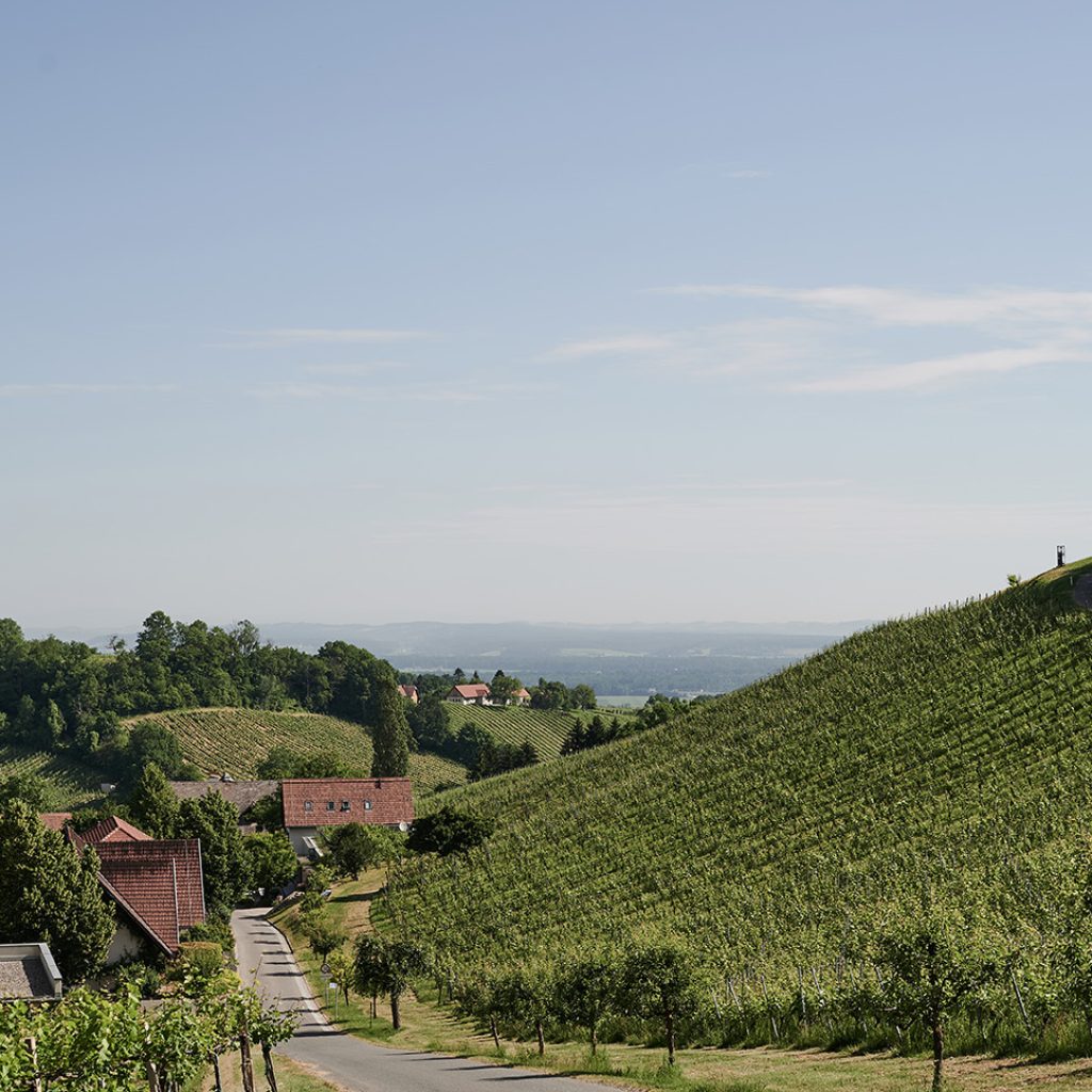 Weingut Polz Fotos Philipp Horak