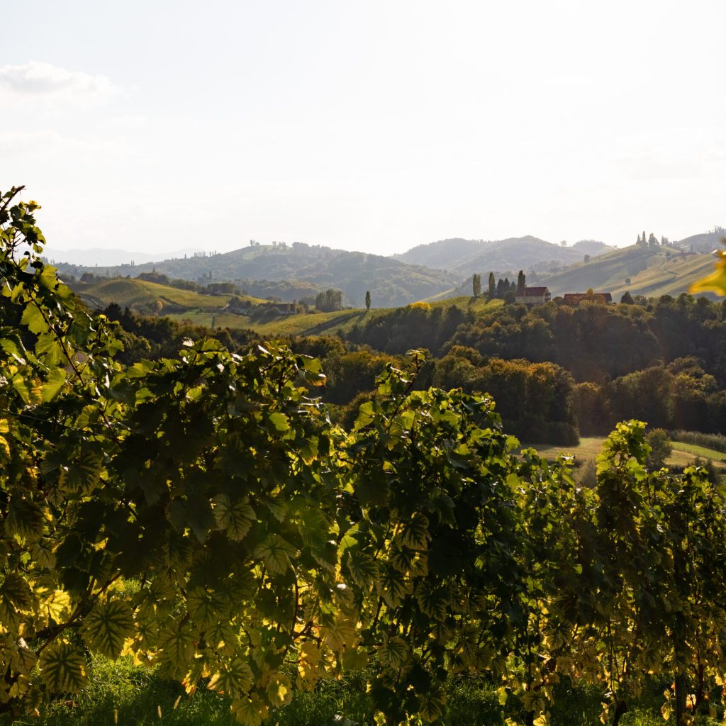 Wlh 21 Herbst Landschaft Stiefkind Fotografie 0002