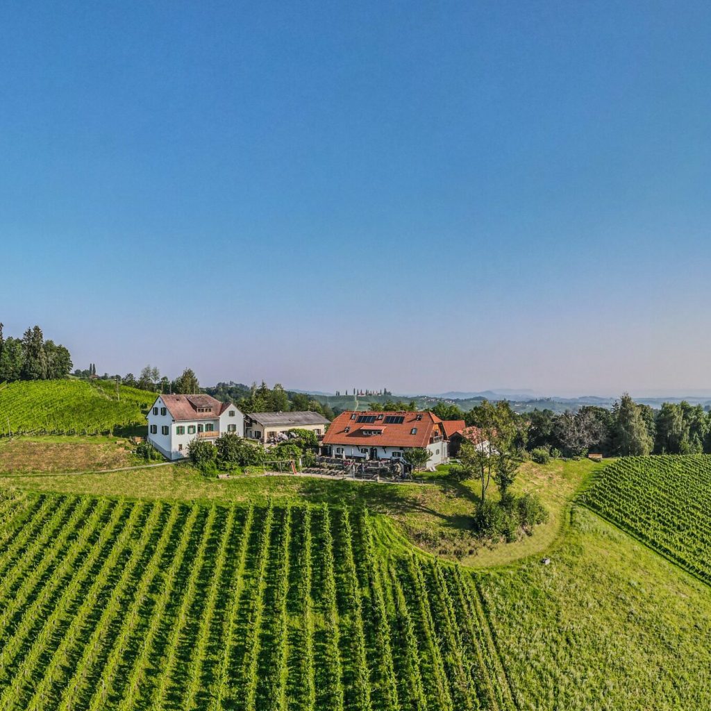 Weingut Hack Gebell Matthias Pusnik