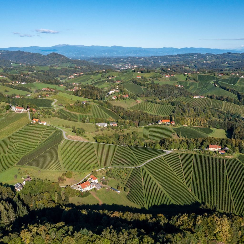 Weingut Sabathi 114 Min