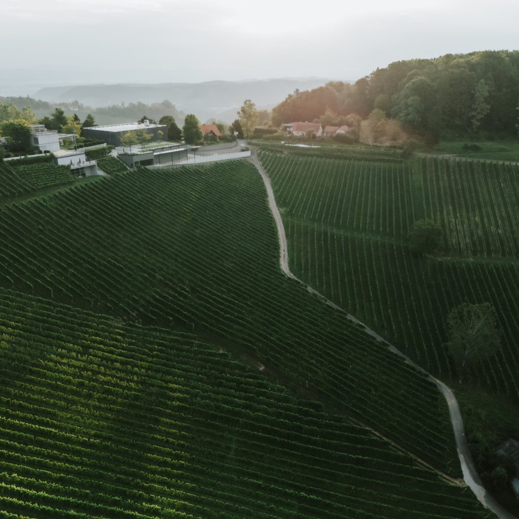Weingut Tement Vogelperspektive WEB