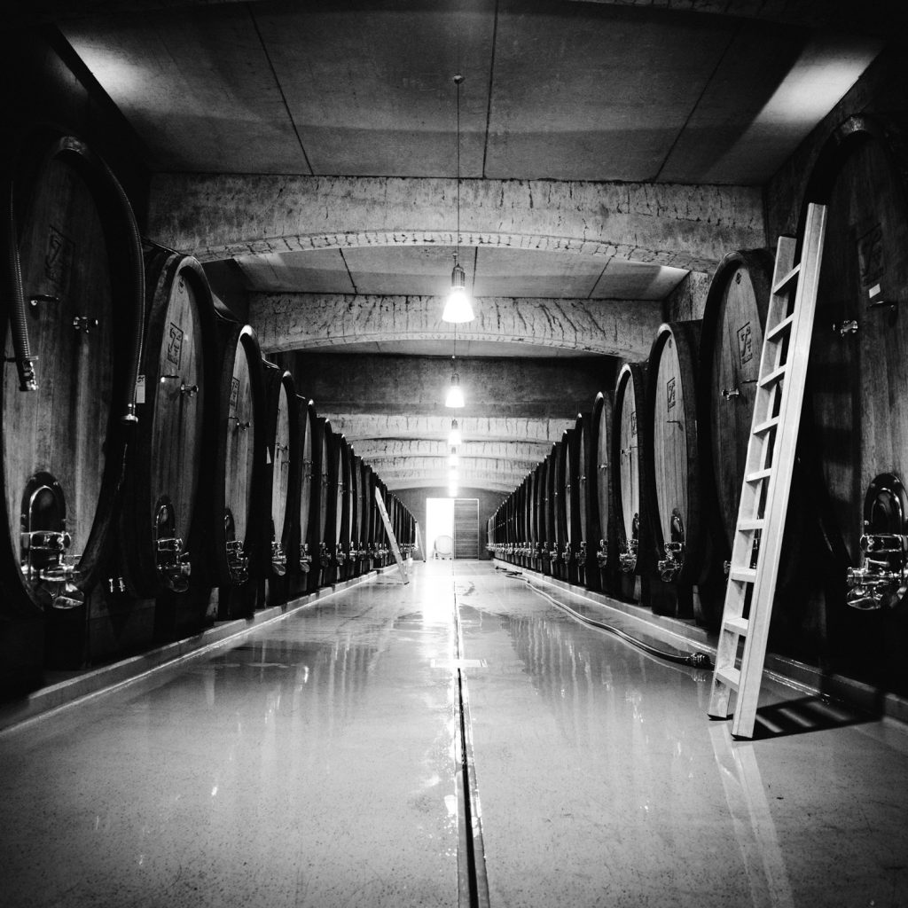 (c)Pertramer IMGP4547 WEB